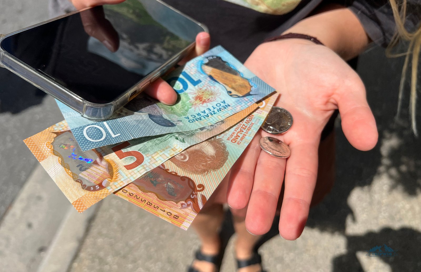 new-zealand-dollar-cash