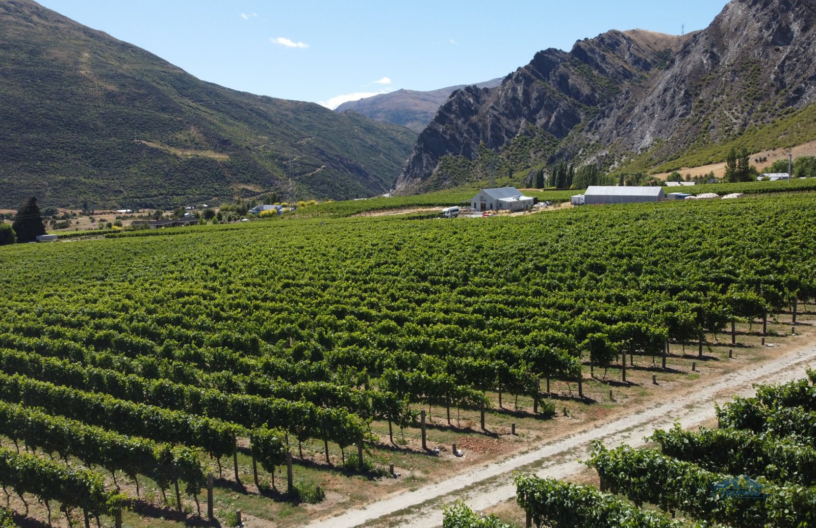 Gibbston Valley