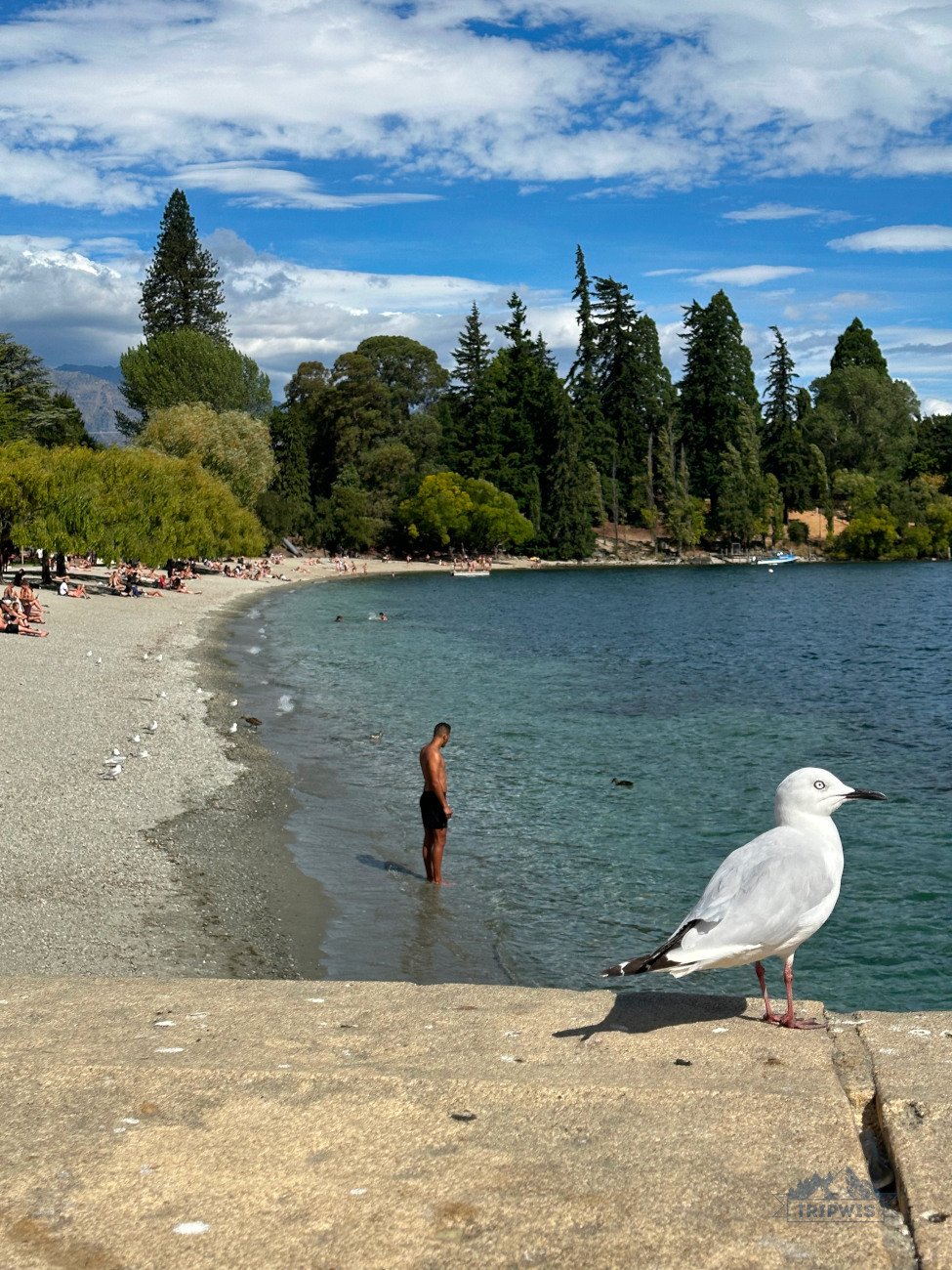 Queenstown beach