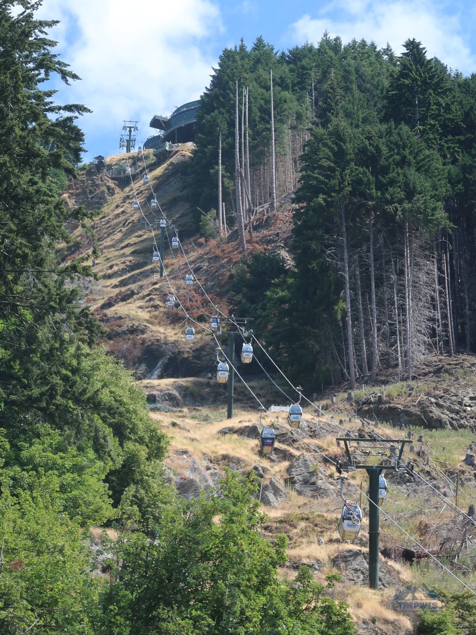 Skyline Gondola Queenstown